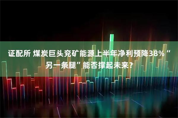 证配所 煤炭巨头兖矿能源上半年净利预降38%“另一条腿”能否撑起未来？