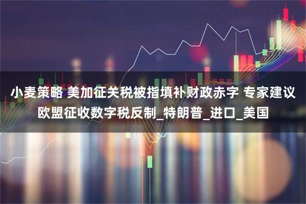小麦策略 美加征关税被指填补财政赤字 专家建议欧盟征收数字税反制_特朗普_进口_美国